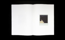 Julien Carreyn Shelter Press