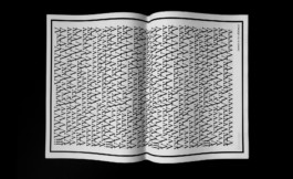 David Horvitz Shelter Press When The Ocean Sounds