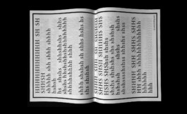 David Horvitz Shelter Press When The Ocean Sounds