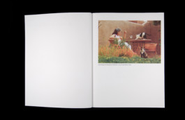 Shelter Press Villa Arson Geraldine Gourbe Judy Chicago