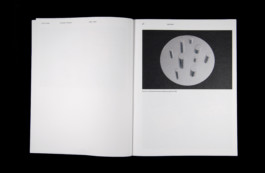 Shelter Press Villa Arson Geraldine Gourbe Judy Chicago