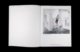 Shelter Press Villa Arson Geraldine Gourbe Judy Chicago