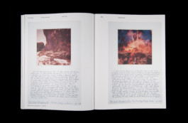 Shelter Press Villa Arson Geraldine Gourbe Judy Chicago