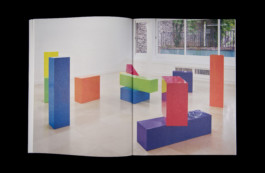 Shelter Press Villa Arson Geraldine Gourbe Judy Chicago