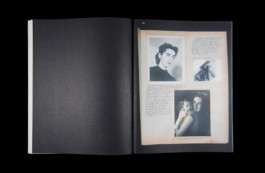 Shelter Press Villa Arson Geraldine Gourbe Judy Chicago