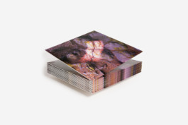 James Rushford Shelter Press